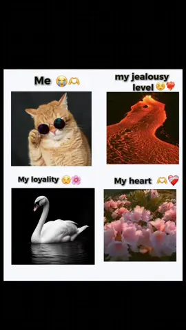 💗🫶🏻 #viral #tiktok #foryou #fyp #trending 