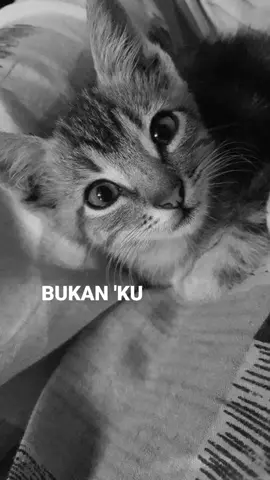 #lyrics #takrela 