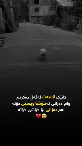 #اکسبلورررررررررررررررررررر❤🧸 #لایکۆ_فۆڵۆم_بکەن_بۆبەردەوام_بونم💙 #ئەکتیڤبن🥀🖤ـہہـ٨ــہ 