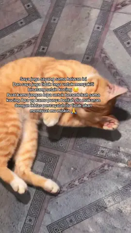 Name saye haheng 😽 #for #upage #oyen #rezekiallah 