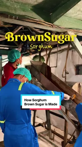 Mau manis tanpa rasa bersalah?💙 Brown Sugar Sorghum hadir dengan manis alami, lebih sehat, dan rendah indeks glikemik. bisa digunakan untuk kopi, kue, atau bahkan masakan sehari-hari anda✨ #fyp #PilihanSehat #healthy #sorghum #NiraSorghum 