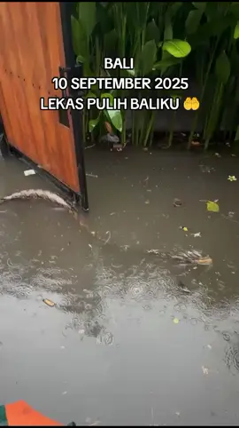 Bali 10 September 2025 Banjir Dan Lumpuh Total Di sebagian Daerah Vital .  #bali #banjir #indonesia🇮🇩 #fyp 