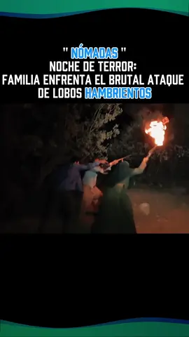 Noche de terror: familia enfrenta el brutal ataque de lobos hambrientos. #documentary #tiktok #shorts #family #adayinmylife 