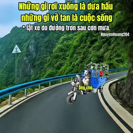 Thứ rơi xuống là quả dưa hấu, thứ vỡ tan là cuộc sống #meme #catmeme 