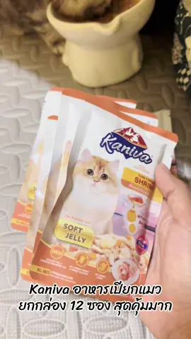 Kaniva อาหารเปียกแมว #คานิว่า #อาหารเปียกคานิว่า #อาหารเปียกแมวคานิว่า #อาหารเปียก #kanivaอาหารเปียก 
