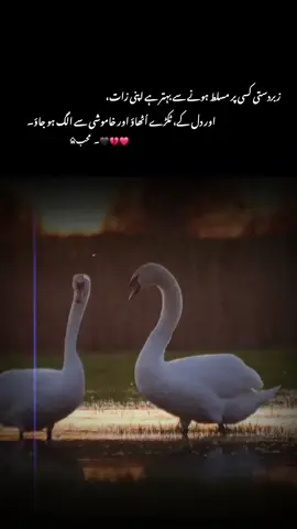 زبردستی کسی پر مسلط ہونے سے بہتر ہے اپنی زات اور دل کے ٹکڑے اُٹھاؤ اور خاموشی سے الگ ہو جاؤ #1milionaudition #aeshetic #foryou #foryoupage #trending 