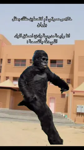 #Meme #MemeCut  #CapCut #fyp #الشعب_الصيني_ماله_حل😂😂 
