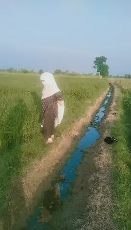 #rabiawattoo30 #foryou #viralvideos #viral #foryoupage❤️❤️ 