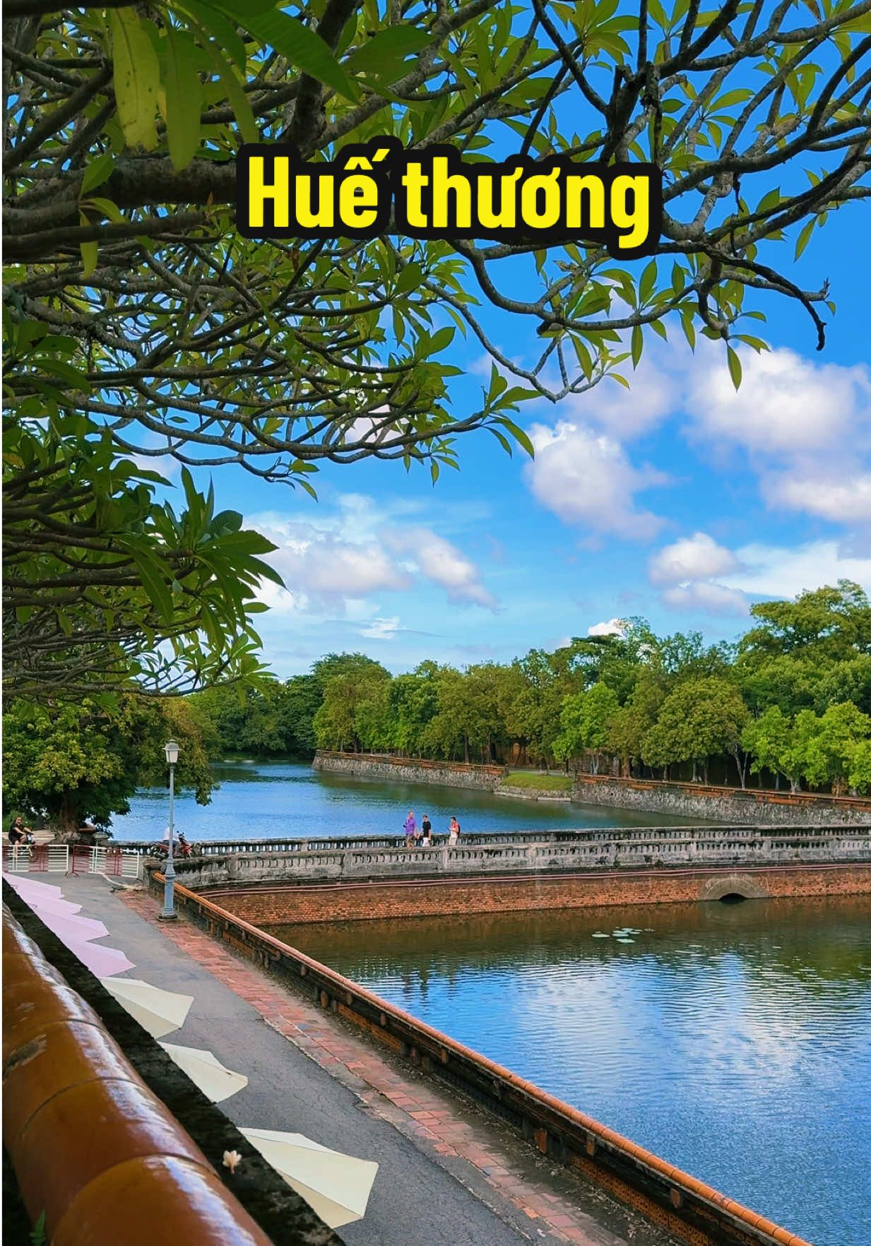 Huế thương ❤️ Huế không ồn ào, Huế chỉ khẽ chạm… dịu dàng, mộng mơ và an yên #hue #checkinhue #dulich #viral #healing 