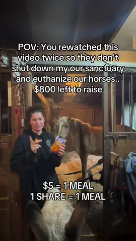 Every kind comment would mean a world to me #horses #shelter #sanctuary #animalsoftiktok #horselovers 