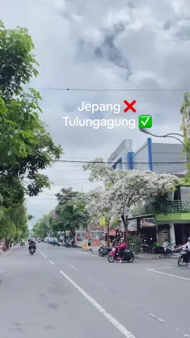 Jepang❌ Tulungagung ✅ #4u #tulungagung #tulungagung24jam #fyp 