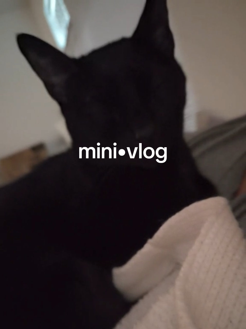 #minivlog #Vlog 