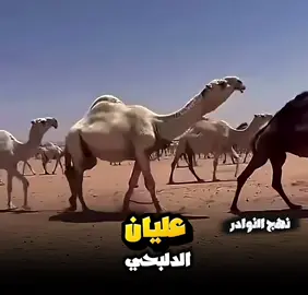 #نهج_النوادر #البل #الفحول_المنتجه #capcut #fyp 
