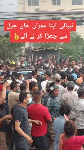 #🇳🇵🇵🇰🌹💯✌️🇧🇫804 #foryouviralvideopti🐅🇧🇫🐅🇧🇫🐅 #عمران_خان_زندہ_باد💯💖🌹❤️ #🌹💯✌️💫❤️🦅👍🔥🌹 