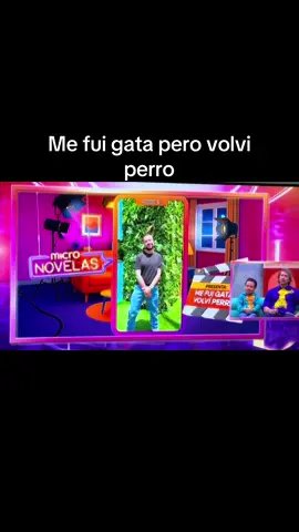 Micro novelas #vix #lacasadelosfamosos #fyppppppppppppppppppppppp #dalilah 