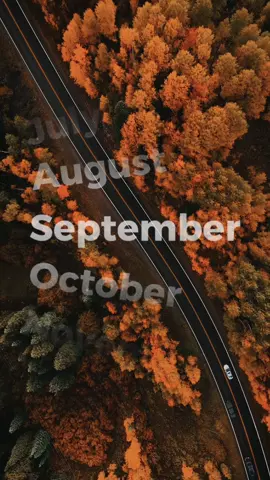 #autumnvibest #septembermood #vibeoftheday⭐️ #CapCut  #fypシ゚viral🖤autumn 
