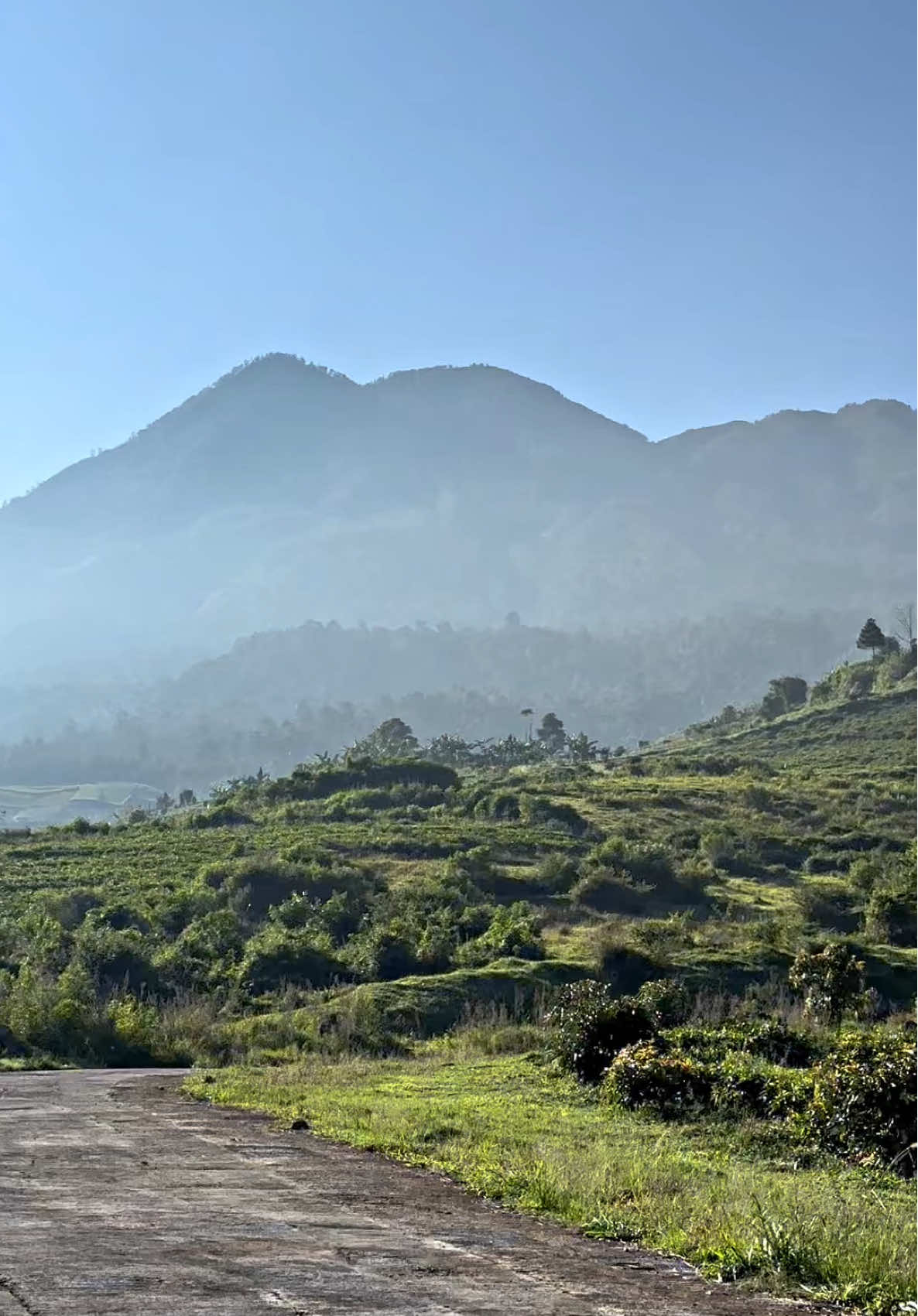 pesona segoro gunung lawu - kemuning ngargoyoso karanganyar #segorogununglawu #margolawu #wisatakaranganyar #wisatangargoyoso #wisatatawangmangu 
