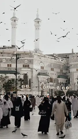 اللهمَ صباح مبشر وَخيرات لا تزول  ‏وأُمنيّات تقربنا منك يا حي يا قيوم  #اكسبلور #المسجدالحرام 