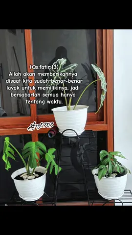 #CapCut  Sabar.. Semua hanya tentang waktu.. 🤲🏻💪🏻 (QS. Fatir:13) #tiktokfyp #tiktokviral #ayatoftheday #trustallahforeverything 