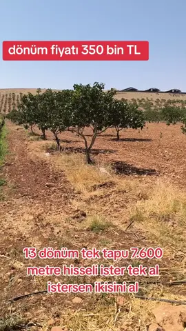 @@keşfet 