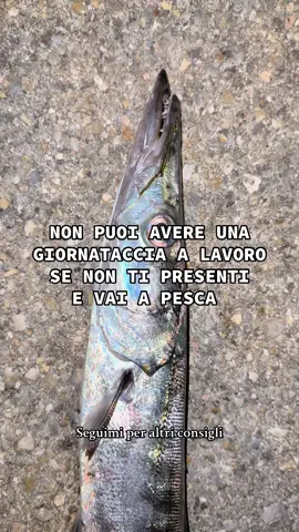Seguimi per altri consigli 😉 #fishing #fishinglife #work #barracuda 