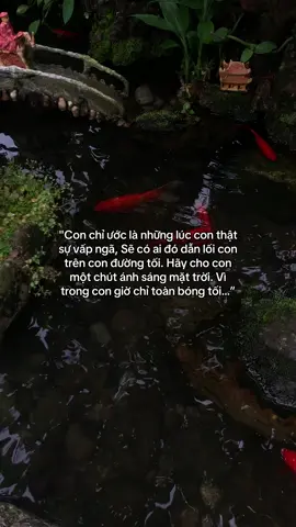…#tamtrang #story 