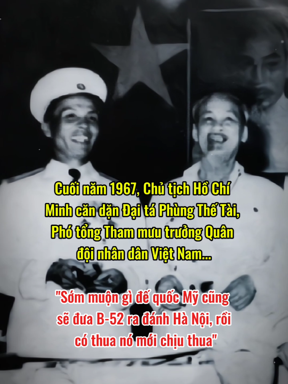 🫶🇻🇳😁 #phungthetai #bacho #xuhuongtiktok #lichsuvietnam #my 