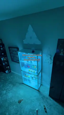 Anime room is swag #animeroom #display #displaycabinet #glassdisplaycase #animeroomdecor 