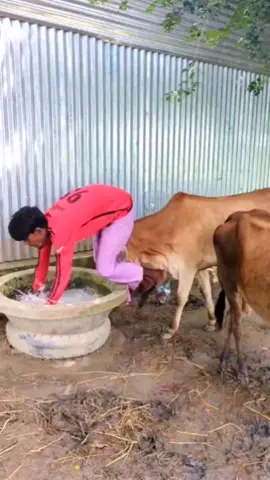 #funnyvideos #comedyvideo 