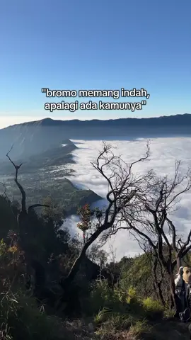 😇 #bromo #gunungbromo #bromotenggersemeru #foryoupage 