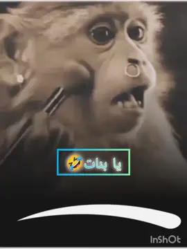 #لايك #هشتات #احلا_متابعين #بنات #اكسبلورexplore 