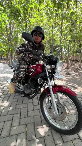 TANGI WAYAHE TOURING NUMPAK KING !