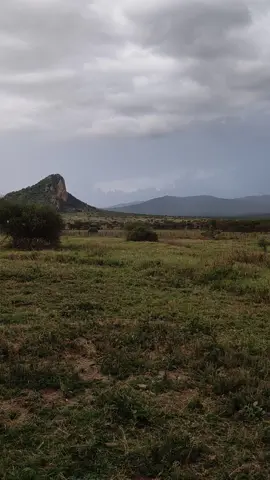 Narasha aai naropili siwuo❤️