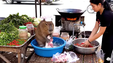 #capybara #loveyou #funny #peace 