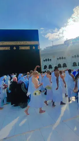 Imam Abu Hanifah melalui Muhammad bin Hasan (murid Imam Abu Hanifah) & semua ilmu Imam madzhab tetap eksis hingga kini adalah peran sentral para murid-murid, disamping karena fadhol Allah swt. Bedakan dengan Ibnu Abbas, Imam laits dil Begitulah seharusnya santri senantiasa menjadi garda terdepan bagi almamater & syikh/gurunya. (Ono santri kok Ora PD karo almamater & syaikhnya gak usah bahas-bahas barokah ilmu ne). #masjidilharam #umrah #makkah #fyp #ksa 