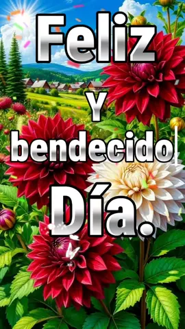 Feliz miércoles #buenosdias #miercoles #arelimendoza #CapCut #fyp 