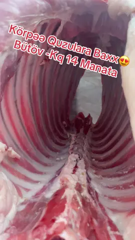 Super Kefiyyetli Quzular Bizdəə 