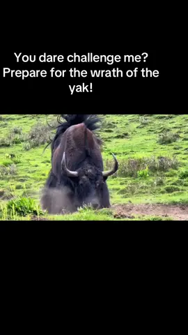 It is warning the enemy and asserting its sovereignty. Dear friends from afar, please help like, comment, and share this to let more people see it. Thank you