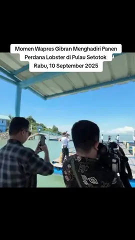 Wakil Presiden RI Gibran Rakabuming Menghadiri Panen Perdana Lobster di Modeling Budidaya Balai Perikanan Budidaya Laut ( BPBL) di Provinsi Kepulauan Riau  #wapres #wapresgibran #wakilpresiden #gibranrakabuming 