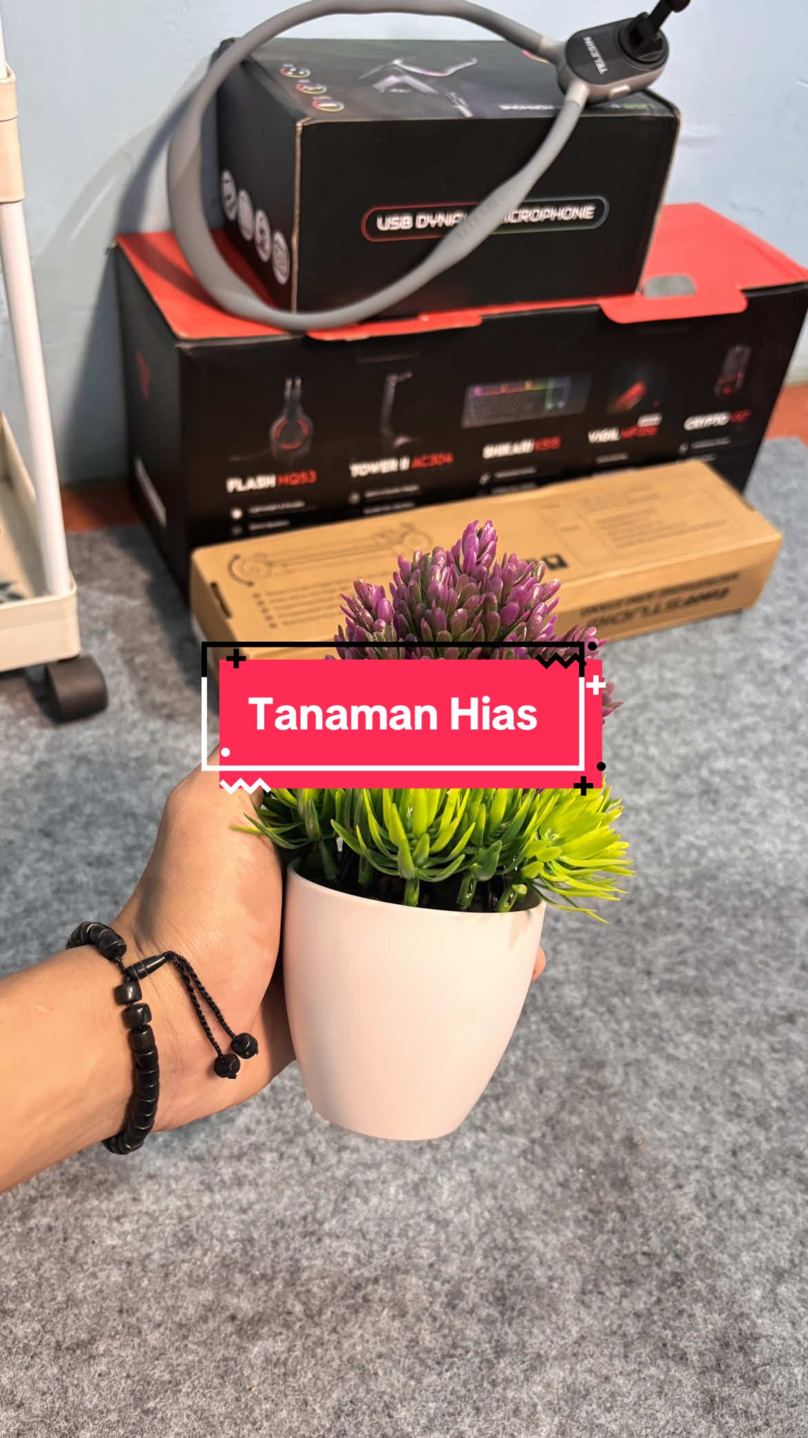 #tanamanhias #tanamanestetik 
