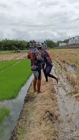 Ojo ngoyo ngoyo,kabeh yo butuh hiburan😅🤣 #ngiwomadangbayaran #ngiwomadang #kubota2t110 #petaniindonesia🇮🇩🇮🇩🇮🇩🌿🌿 