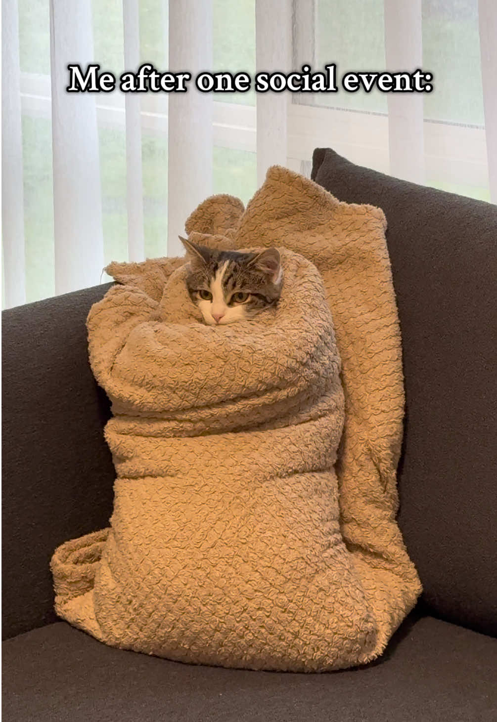 Lily being a coach potato today because it’s raining and storming 🌧️⛈️🌩️ #tabbycat #tiktokpets #catsoftiktok #catlover #cutecat 