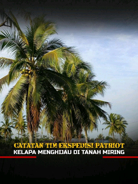 Cerita ini datang dari Tim Ekspedisi Patriot yang hadir di Tanah Miring, Papua Selatan, untuk melihat langsung bagaimana kehidupan para transmigran berjalan di kawasan transmigrasi. Dari hasil pengamatan, tim mendapati bahwa para transmigran bersama masyarakat lokal mampu membangun kehidupan yang stabil dan mandiri, mulai dari pemanfaatan lahan hingga terciptanya kebersamaan sosial yang kuat.  Kehadiran tim di lapangan memperlihatkan bahwa transmigrasi bukan sekadar memindahkan penduduk dari satu daerah ke daerah lain, melainkan benar-benar menghadirkan ruang baru bagi masyarakat untuk berkembang, membuka peluang ekonomi, serta memberi kontribusi nyata bagi kemajuan daerah dan pemerataan pembangunan di Indonesia.