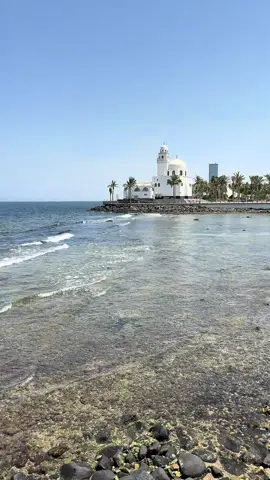مساج المخ#جده 