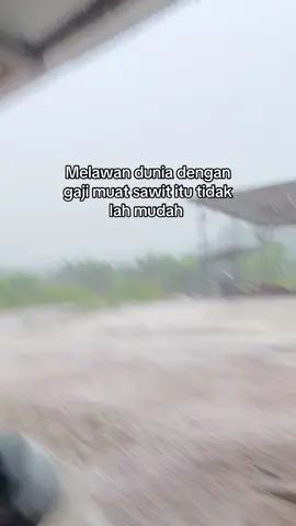 Gaji tidak seberapa bisa membuat badan menjadi tulang tulung 🥴#lewatberandafyp #cewekpemuatsawit🔥💪 #kuliasawit 
