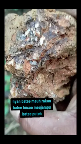bukan aplikasi emas tapi aplikasi batu . #emas #mininggold #aceh 