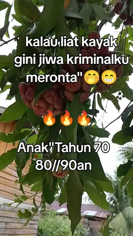 Jaman kecil kita dulu ini ludes🤭😂🤣🤣🤣ada gak yang sama... 