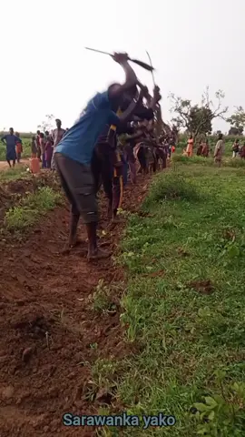 sarawanka yako #baddoo #viralvideo #yag #nidake #gausisamazagudu #Aliyunurudeen #mun #amen1 #hamisubrekadorayi #copcu #hamis #momeegwambe #viral #yagamen1 #garba #copcup #Autaaboki #ubrekadorayi 