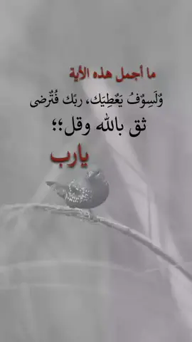 يارب #ملكة #الأحزان #fypシ゚ #اكسبلورexplore 