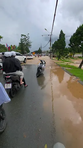 Mưa lớn quá mọi người ơi. #giatgiaydalat #reviewdalat #reviewbđsdalat 